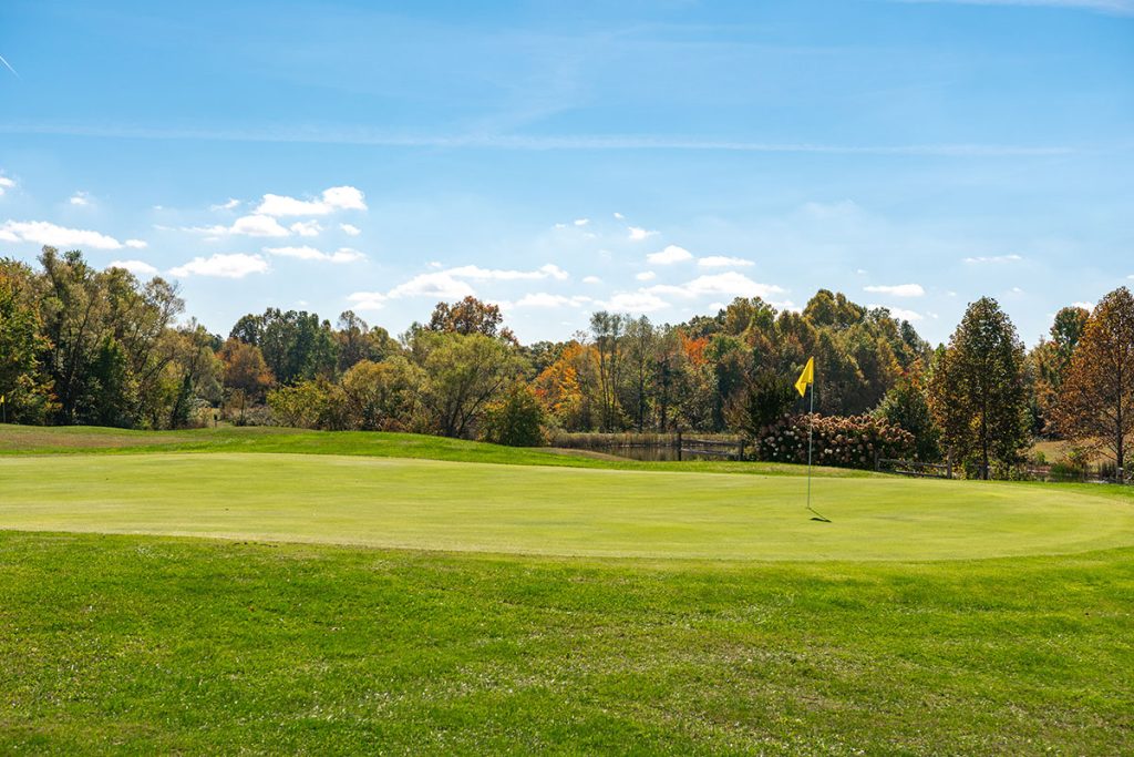 cumberland cove golf course green