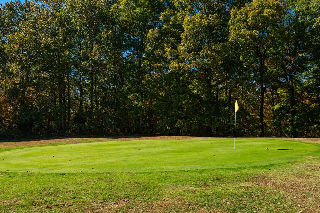 cumberland cove golf course green